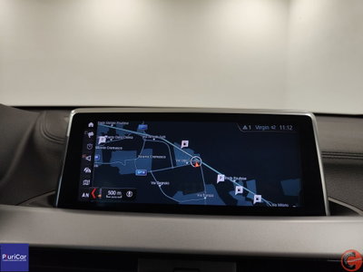 BMW X2 xDrive20d Business-X (4)