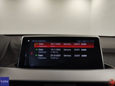 BMW X2 xDrive20d Business-X (7)