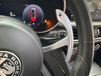 Alfa Romeo Stelvio Stelvio 2.2 Turbodiesel 160 CV AT8 RWD Super Business (11)
