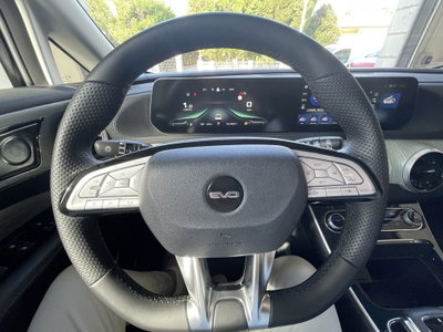 Evo Evo Spazio 1.5 turbo Gpl 167cv dct (12)