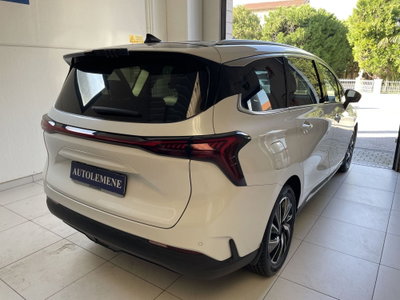 Evo Evo Spazio 1.5 turbo Gpl 167cv dct (4)