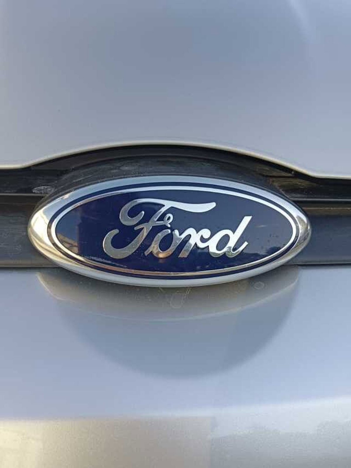 Ford B-Max B-Max 1.0 EcoBoost 100 CV Sport (19)