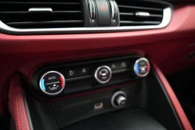 Alfa Romeo Stelvio Stelvio 2.0 Turbo 200 CV AT8 Q4 Super Business (17)