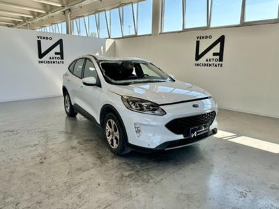 Ford Kuga 1.5 EcoBlue 120 CV aut. 2WD usata
