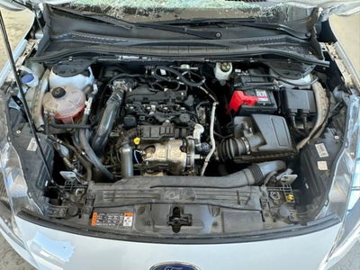 Ford Kuga 1.5 EcoBlue 120 CV aut. 2WD (12)