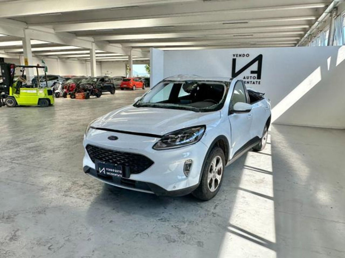 Ford Kuga 1.5 EcoBlue 120 CV aut. 2WD (3)