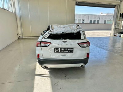 Ford Kuga 1.5 EcoBlue 120 CV aut. 2WD (6)