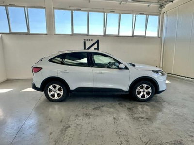 Ford Kuga 1.5 EcoBlue 120 CV aut. 2WD (8)