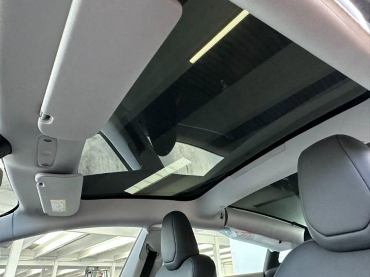 Tesla Model 3 Model 3 RWD (20)