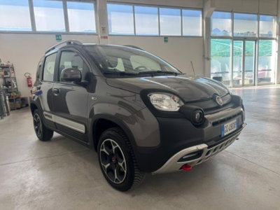 Fiat Panda Cross Cross 0.9 TwinAir Turbo S&S 4x4 (2)