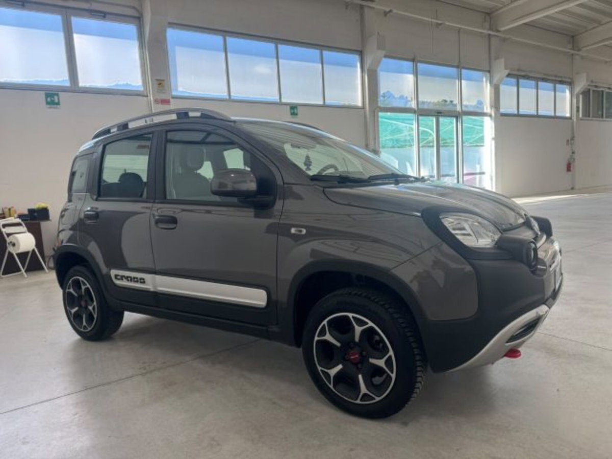 Fiat Panda Cross Cross 0.9 TwinAir Turbo S&S 4x4 (6)