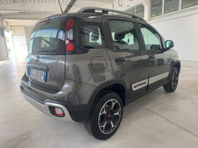 Fiat Panda Cross Cross 0.9 TwinAir Turbo S&S 4x4 (9)