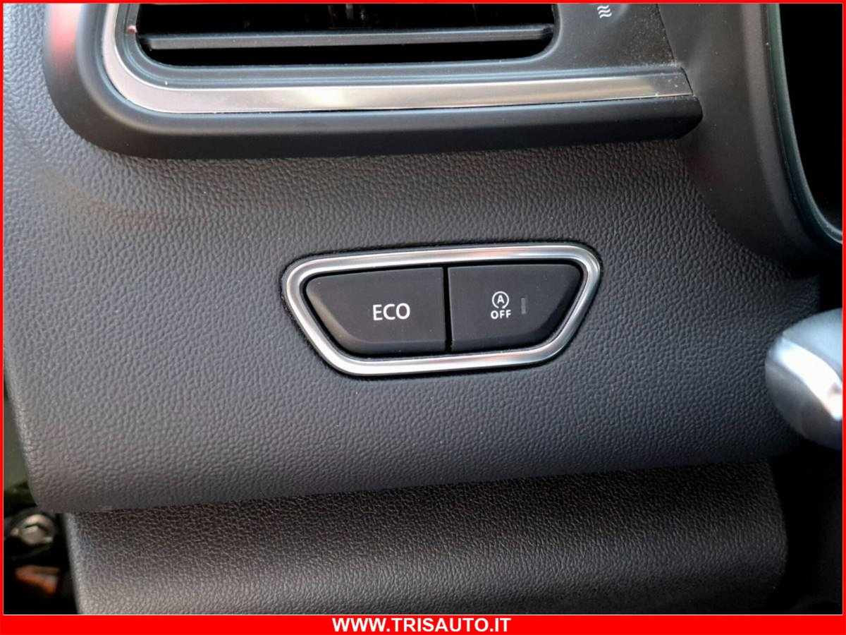 Renault Kadjar dCi 8V 115CV Business (13)