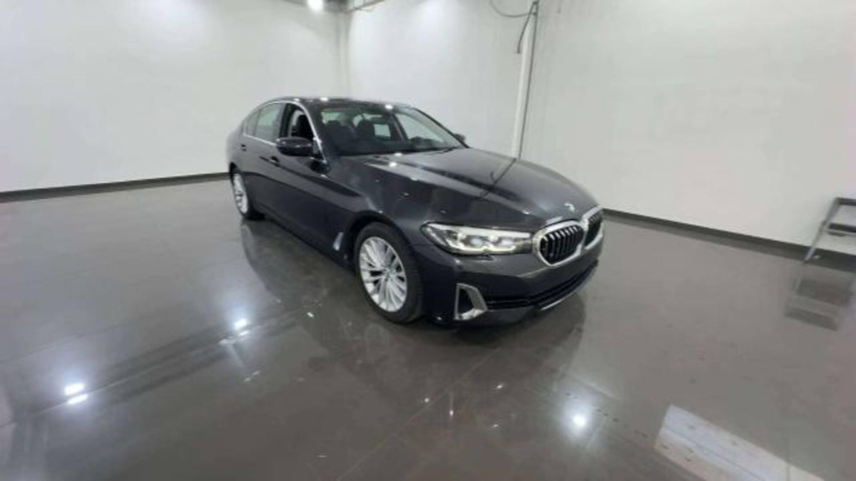 BMW Serie 5 520d Luxury (3)