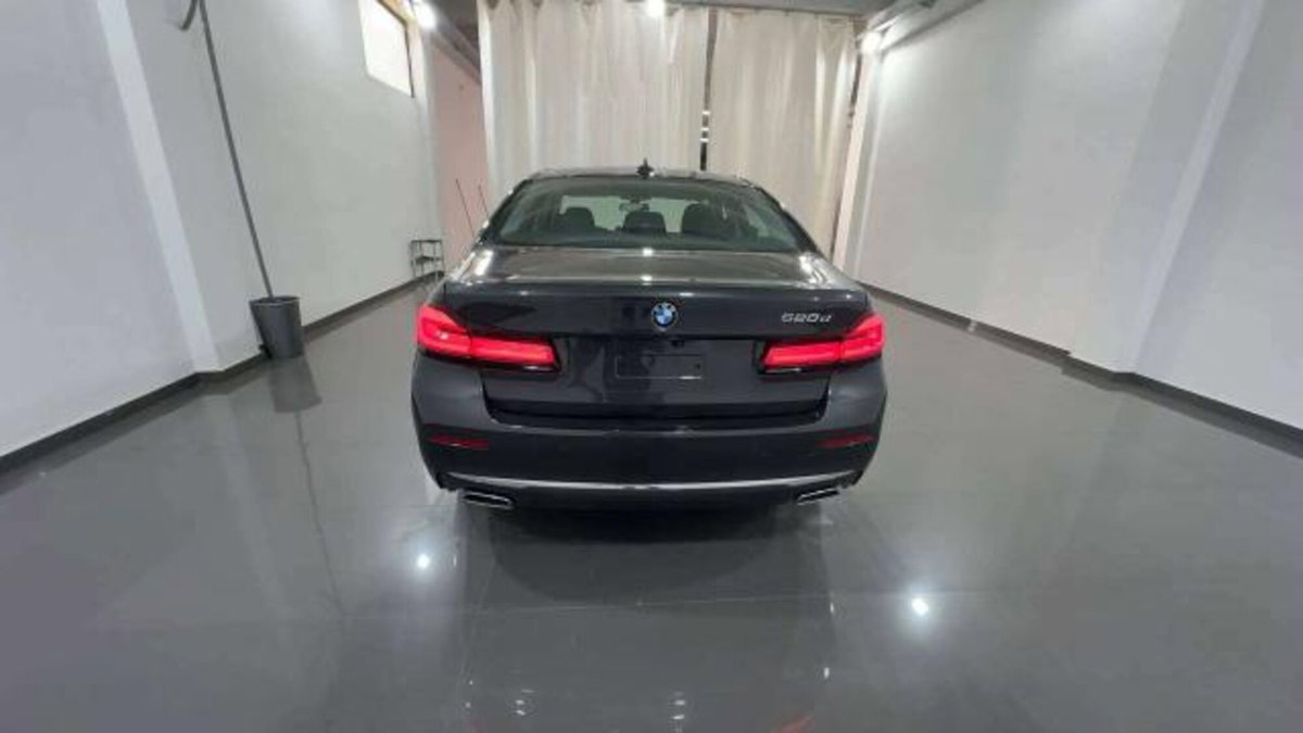 BMW Serie 5 520d Luxury (5)
