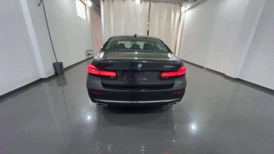 BMW Serie 5 520d Luxury (5)
