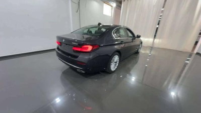 BMW Serie 5 520d Luxury (6)