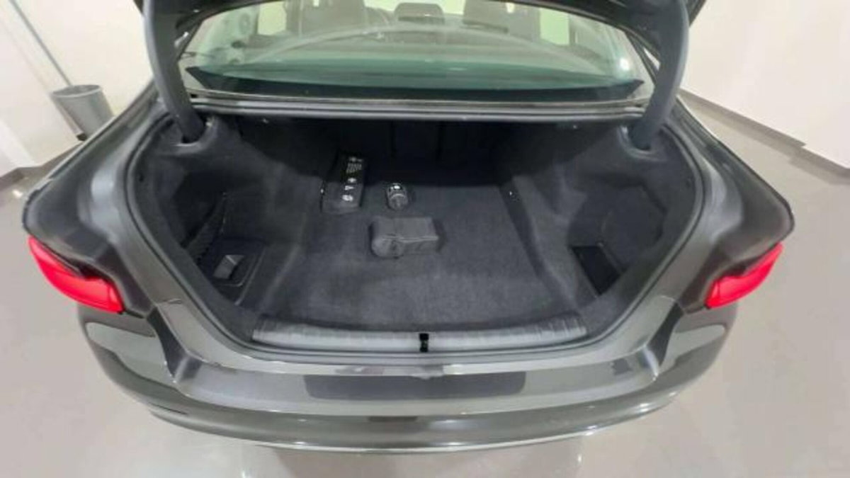 BMW Serie 5 520d Luxury (7)