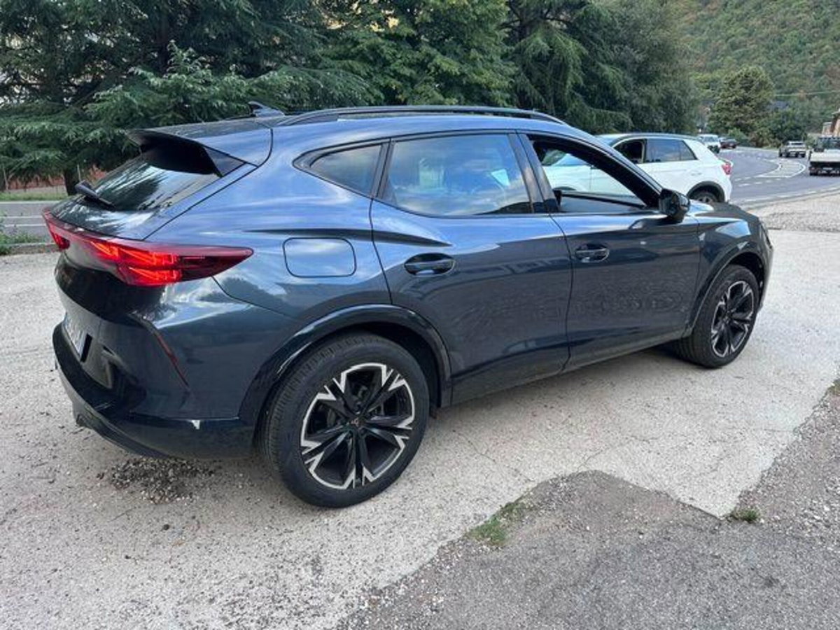 Cupra Formentor Formentor 2.0 tdi 4drive 150cv dsg (3)