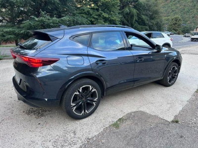 Cupra Formentor Formentor 2.0 tdi 4drive 150cv dsg (3)