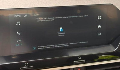 Citroen C4 1.2 hybrid You 110cv e-dcs6 (13)