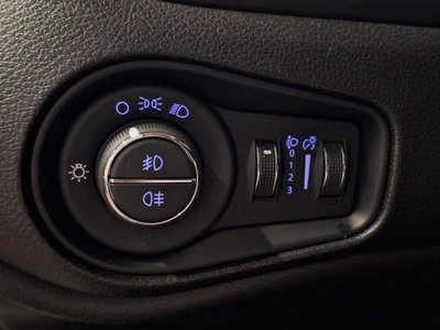 Jeep Renegade 1.3 T4 DDCT Limited (15)