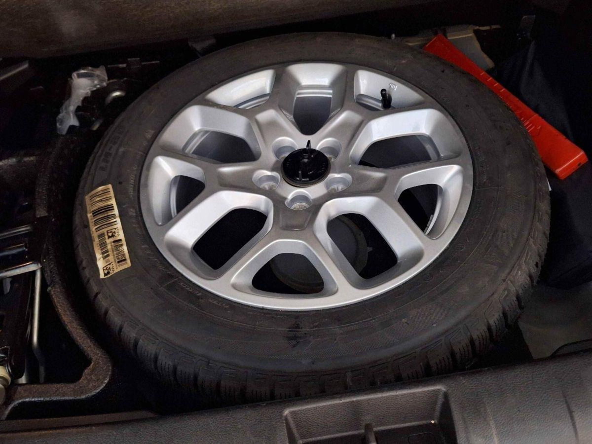 Jeep Renegade 1.3 T4 DDCT Limited (19)