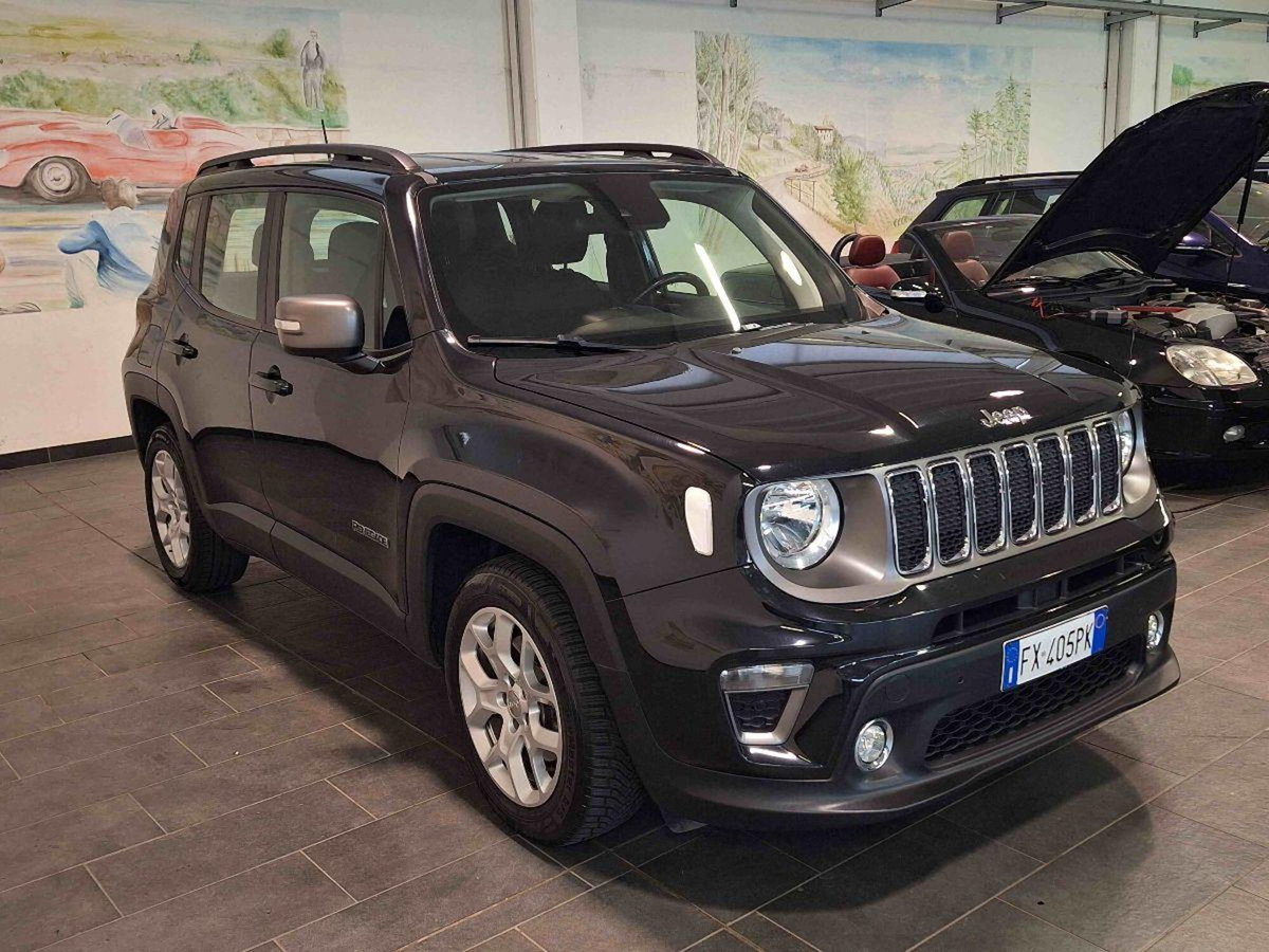 Jeep Renegade 1.3 T4 DDCT Limited (2)