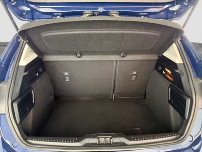 Ford Focus 1.5 EcoBlue 120 CV 5p. Business (14)