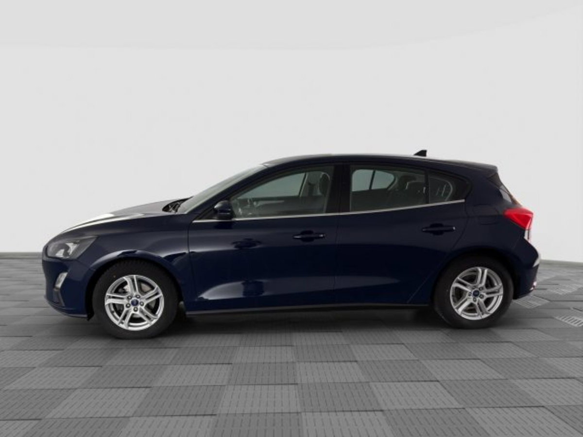Ford Focus 1.5 EcoBlue 120 CV 5p. Business (2)