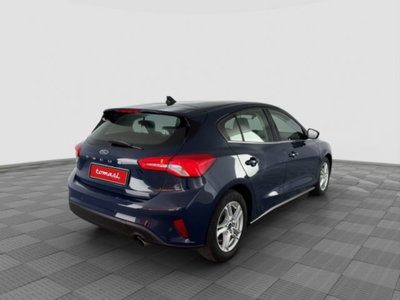 Ford Focus 1.5 EcoBlue 120 CV 5p. Business (5)