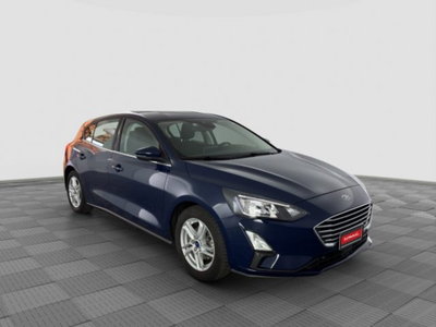 Ford Focus 1.5 EcoBlue 120 CV 5p. Business (7)