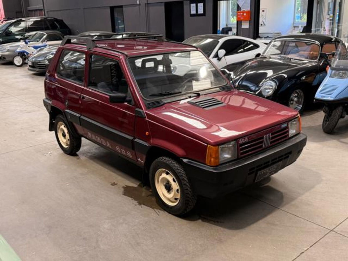 Fiat Panda 1000 4x4 Trekking (3)