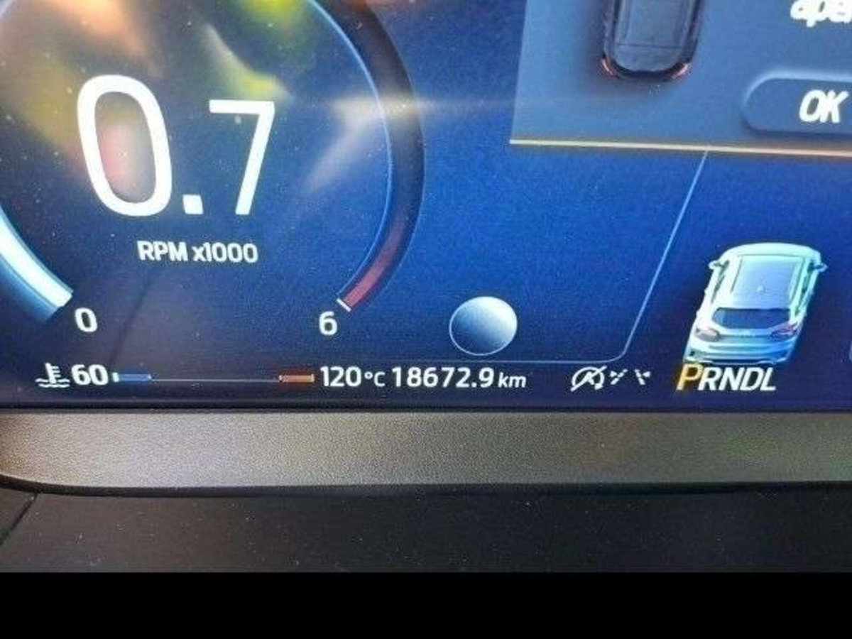 Ford Focus Station Wagon 1.5 ecoblue ST-Line X 115cv auto (8)