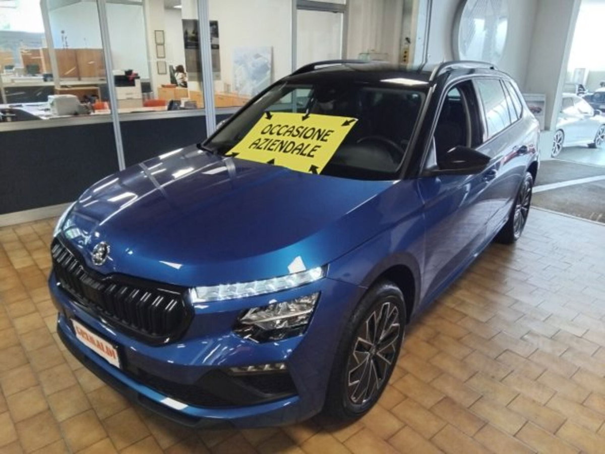 Skoda Kamiq 1.0 tsi Black Dots 115cv dsg (3)