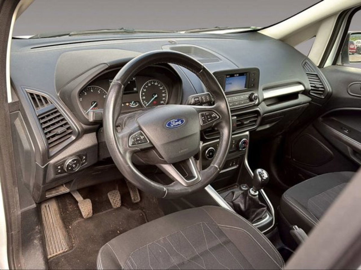 Ford EcoSport 1.0 EcoBoost 125 CV (14)