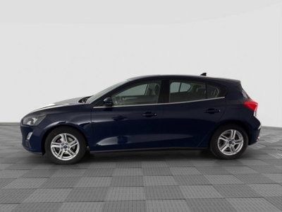 Ford Focus 1.5 EcoBlue 120 CV 5p. Business (2)