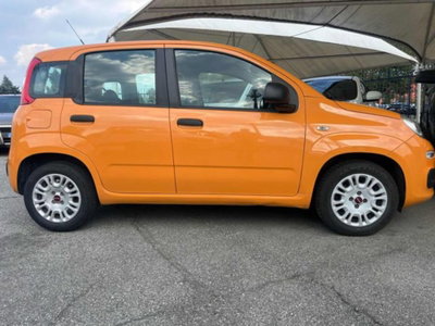 Fiat Panda 1.2 Easy (2)