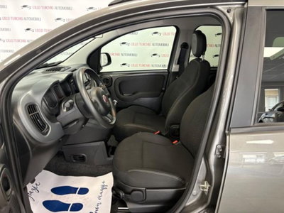 Fiat Panda 1.0 firefly hybrid s&s 70cv 5p.ti (19)