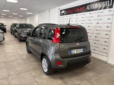 Fiat Panda 1.0 firefly hybrid s&s 70cv 5p.ti (4)