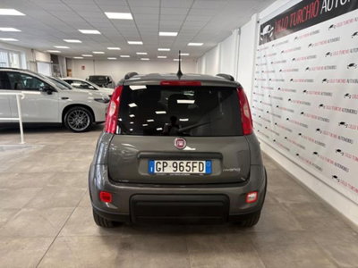 Fiat Panda 1.0 firefly hybrid s&s 70cv 5p.ti (5)