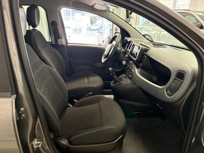 Fiat Panda 1.0 firefly hybrid s&s 70cv 5p.ti (8)