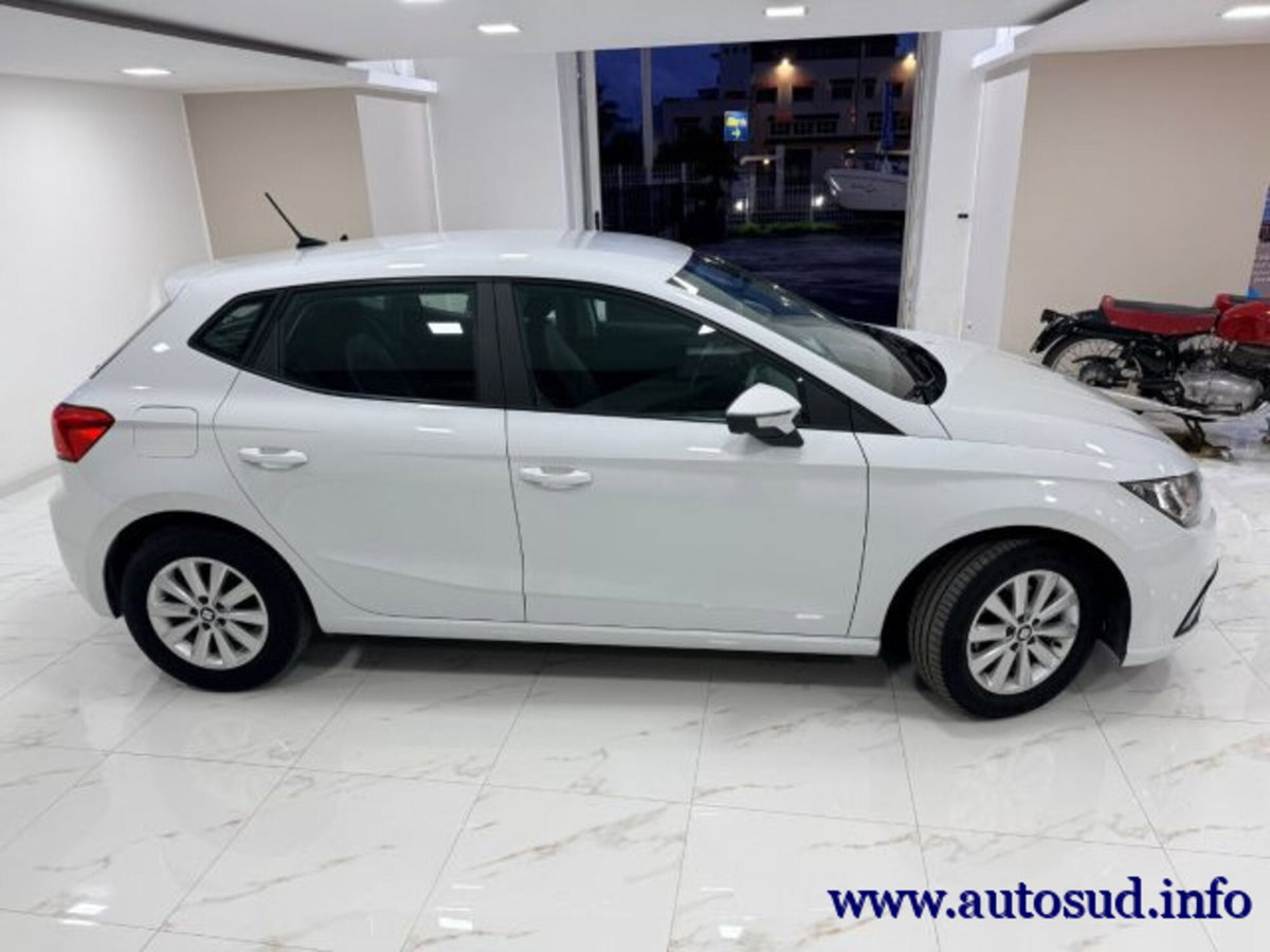 SEAT Ibiza 1.6 TDI 95 CV 5 porte Business (7)