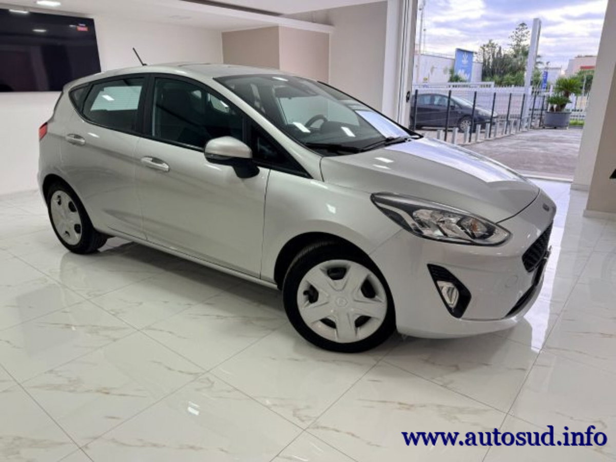 Ford Fiesta 1.5 EcoBlue 5 porte Business (8)