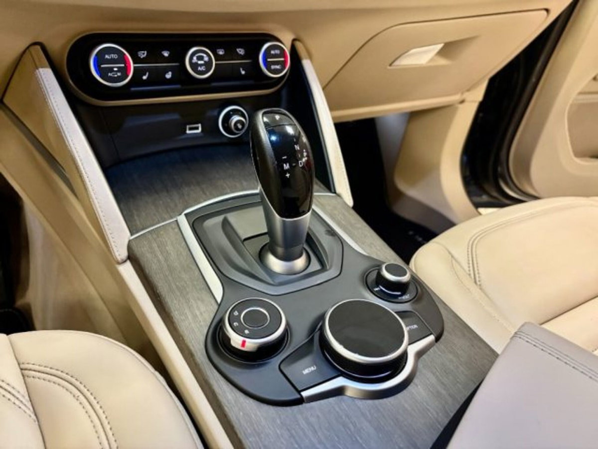 Alfa Romeo Stelvio Stelvio 2.2 Turbodiesel 210 CV AT8 Q4 Veloce (13)