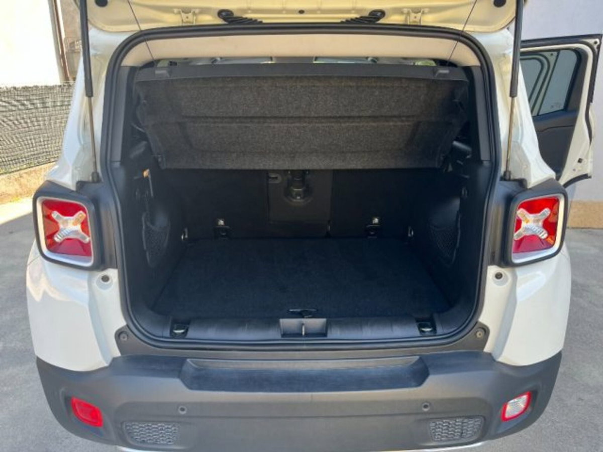 Jeep Renegade 1.6 Mjt 120 CV Limited (8)