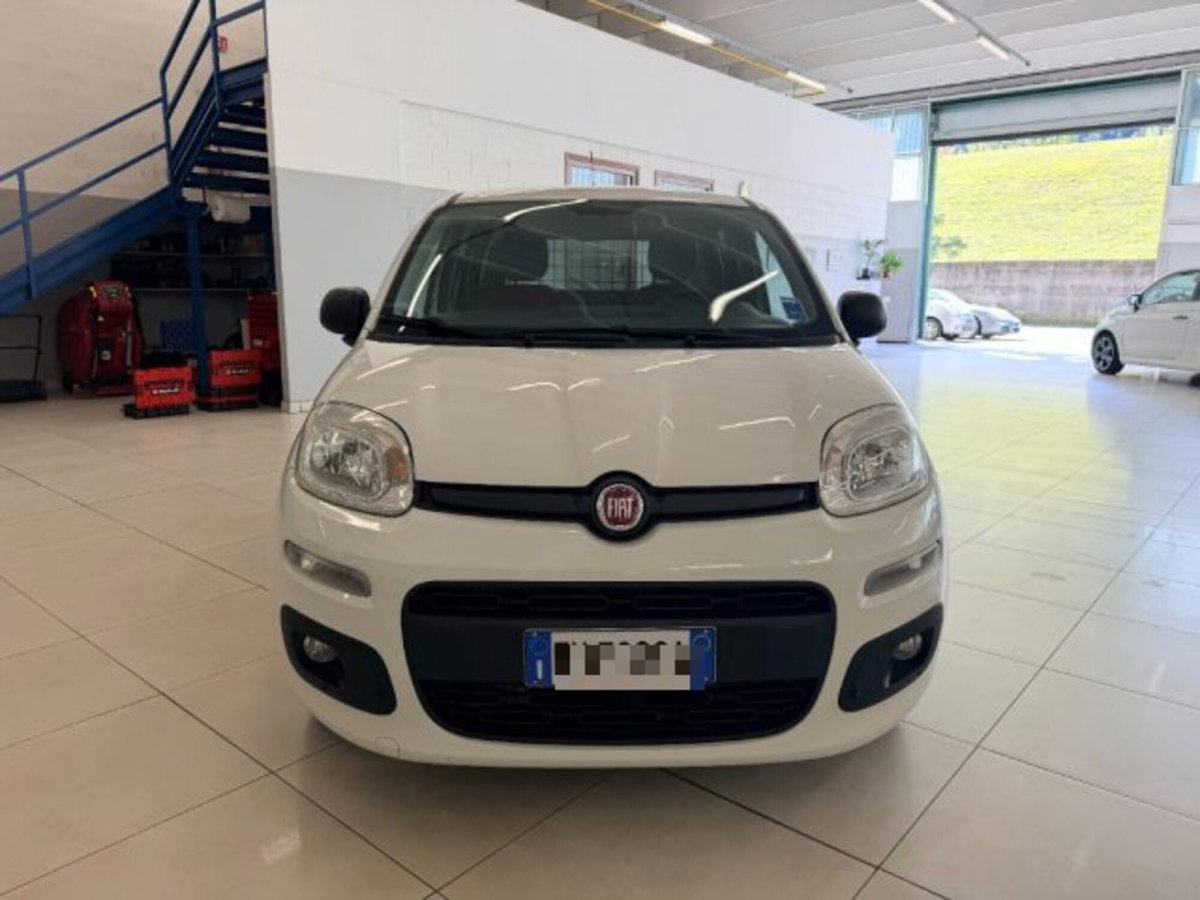 Fiat Panda 1.3 MJT 4x4 Pop Van 2 posti (2)