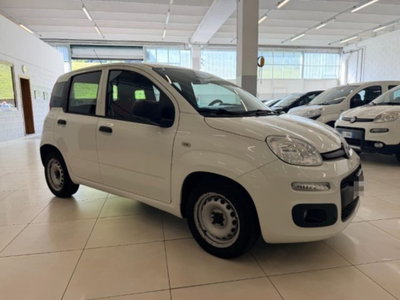 Fiat Panda 1.3 MJT 4x4 Pop Van 2 posti (3)