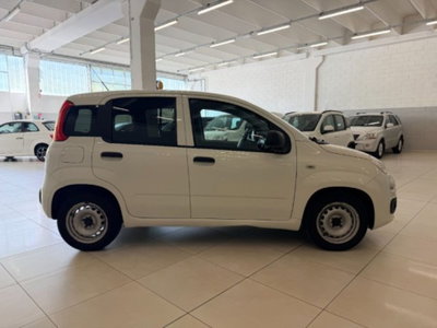 Fiat Panda 1.3 MJT 4x4 Pop Van 2 posti (4)