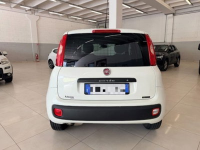 Fiat Panda 1.3 MJT 4x4 Pop Van 2 posti (6)